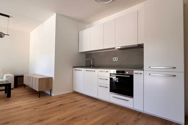 1 bedroom with open-plan kitchen flat to rent, 52 m², U Komína, Praha 1 bedroom with open-plan kitchen flat to rent, 52 m², U Komína, Praha