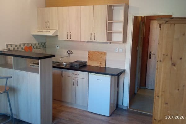 Studio flat to rent, 20 m², Popelnicová, Plzeň Studio flat to rent, 20 m², Popelnicová, Plzeň