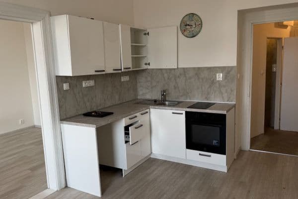 1 bedroom with open-plan kitchen flat to rent, 42 m², Heydukova, Praha 1 bedroom with open-plan kitchen flat to rent, 42 m², Heydukova, Praha