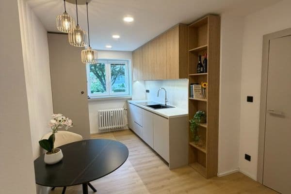 1 bedroom with open-plan kitchen flat for sale, 54 m², Vodárenská, Kladno 1 bedroom with open-plan kitchen flat for sale, 54 m², Vodárenská, Kladno
