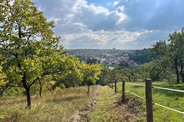plot for sale, 3,055 m², Dolní Kounice plot for sale, 3,055 m², Dolní Kounice