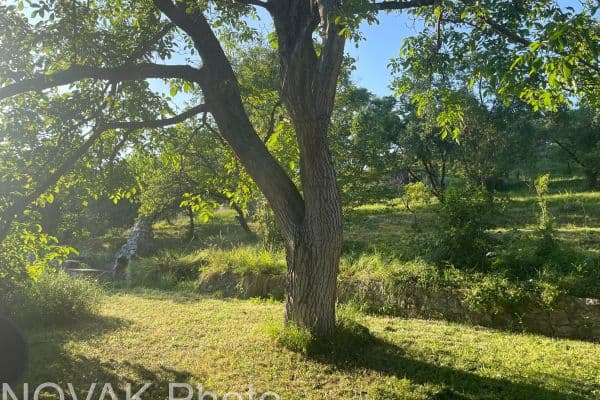 plot for sale, 2,313 m², plot for sale, 2,313 m²,