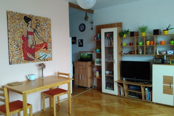 1 bedroom with open-plan kitchen flat to rent, 48 m², Gruzínská, Brno 1 bedroom with open-plan kitchen flat to rent, 48 m², Gruzínská, Brno