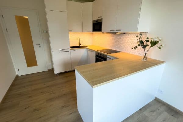 2 bedroom with open-plan kitchen flat to rent, 71 m², K Metru, Praha 2 bedroom with open-plan kitchen flat to rent, 71 m², K Metru, Praha