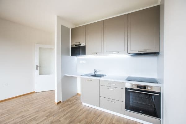 1 bedroom with open-plan kitchen flat to rent, 45 m², Dobiášova, Liberec 1 bedroom with open-plan kitchen flat to rent, 45 m², Dobiášova, Liberec