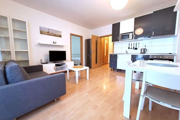 1 bedroom with open-plan kitchen flat to rent, 40 m², V Zahradách, Praha 1 bedroom with open-plan kitchen flat to rent, 40 m², V Zahradách, Praha