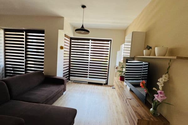 1 bedroom with open-plan kitchen flat for sale, 61 m², Kigginsova, Brno 1 bedroom with open-plan kitchen flat for sale, 61 m², Kigginsova, Brno