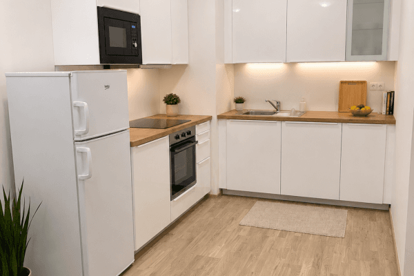 1 bedroom with open-plan kitchen flat to rent, 52 m², Waltariho, Praha 1 bedroom with open-plan kitchen flat to rent, 52 m², Waltariho, Praha