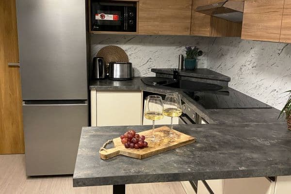 1 bedroom with open-plan kitchen flat for sale, 42 m², Letní, Brno 1 bedroom with open-plan kitchen flat for sale, 42 m², Letní, Brno