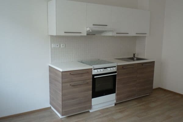 1 bedroom with open-plan kitchen flat to rent, 40 m², Spáčilova, Brno 1 bedroom with open-plan kitchen flat to rent, 40 m², Spáčilova, Brno