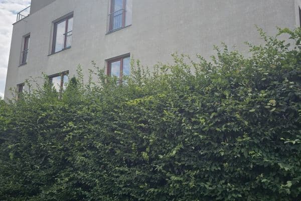2 bedroom with open-plan kitchen flat for sale, 80 m², Lederova, Roztoky 2 bedroom with open-plan kitchen flat for sale, 80 m², Lederova, Roztoky