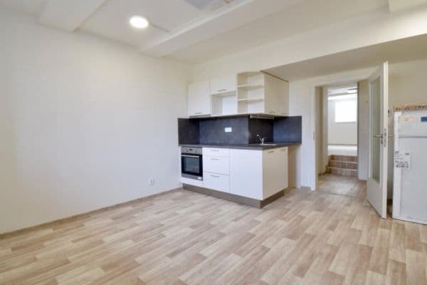 1 bedroom with open-plan kitchen flat to rent, 47 m², Skorkovského, Brno 1 bedroom with open-plan kitchen flat to rent, 47 m², Skorkovského, Brno