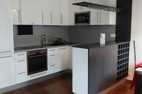 1 bedroom with open-plan kitchen flat to rent, 50 m², Magistrů, Praha 1 bedroom with open-plan kitchen flat to rent, 50 m², Magistrů, Praha