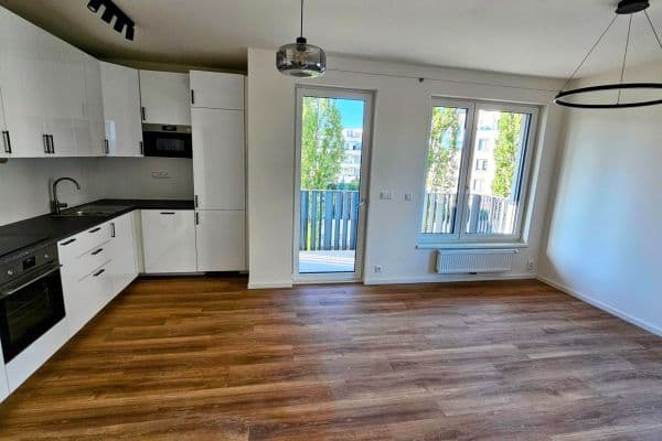 1 bedroom with open-plan kitchen flat to rent, 53 m², Divíškové, Praha 1 bedroom with open-plan kitchen flat to rent, 53 m², Divíškové, Praha