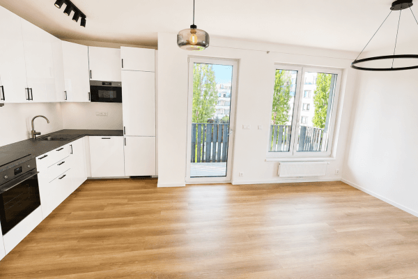 1 bedroom with open-plan kitchen flat to rent, 53 m², Divíškové, Praha 1 bedroom with open-plan kitchen flat to rent, 53 m², Divíškové, Praha