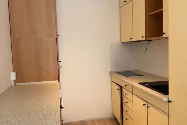 1 bedroom with open-plan kitchen flat to rent, 63 m², Hráského, Praha 1 bedroom with open-plan kitchen flat to rent, 63 m², Hráského, Praha
