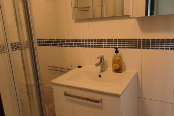 1 bedroom with open-plan kitchen flat to rent, 42 m², Novodvorská, Praha 1 bedroom with open-plan kitchen flat to rent, 42 m², Novodvorská, Praha