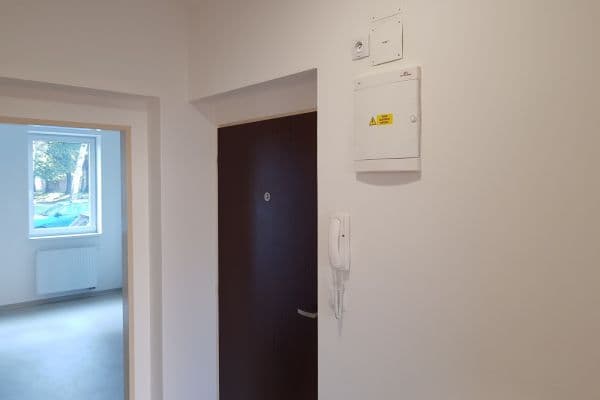 1 bedroom with open-plan kitchen flat to rent, 55 m², Tylova, Brno 1 bedroom with open-plan kitchen flat to rent, 55 m², Tylova, Brno