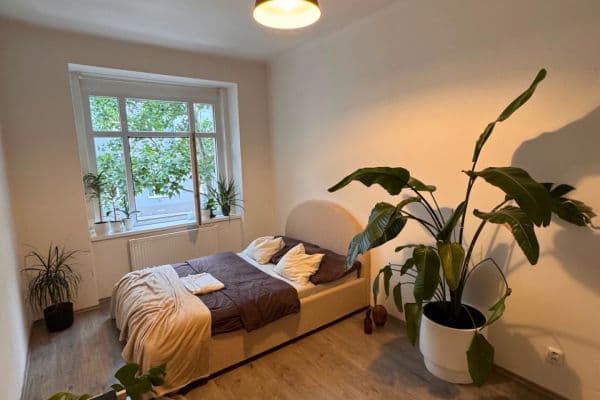 1 bedroom with open-plan kitchen flat to rent, 56 m², Hartigova, Praha 1 bedroom with open-plan kitchen flat to rent, 56 m², Hartigova, Praha