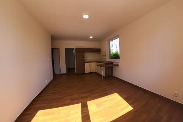 1 bedroom with open-plan kitchen flat to rent, 25 m², Cihlářská, Praha 1 bedroom with open-plan kitchen flat to rent, 25 m², Cihlářská, Praha
