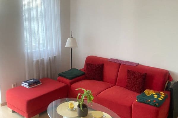 1 bedroom with open-plan kitchen flat to rent, 41 m², Novobohdalecká, Praha 1 bedroom with open-plan kitchen flat to rent, 41 m², Novobohdalecká, Praha