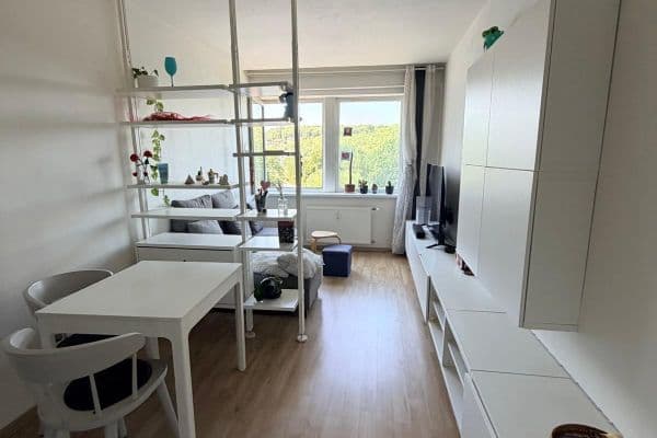 1 bedroom with open-plan kitchen flat to rent, 55 m², Peroutkova, Praha 1 bedroom with open-plan kitchen flat to rent, 55 m², Peroutkova, Praha