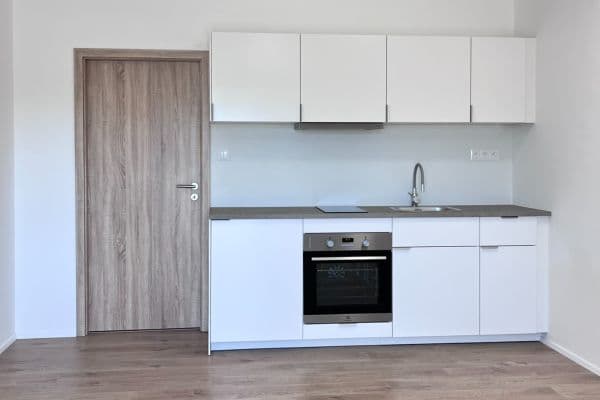 Studio flat to rent, 37 m², K Újezdu, Zbůch Studio flat to rent, 37 m², K Újezdu, Zbůch