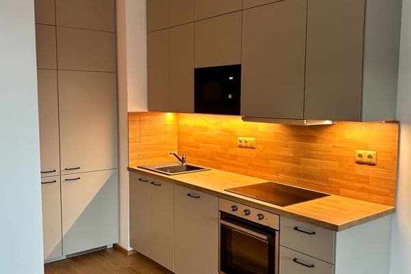 1 bedroom with open-plan kitchen flat to rent, 43 m², Hasilova, Praha 1 bedroom with open-plan kitchen flat to rent, 43 m², Hasilova, Praha