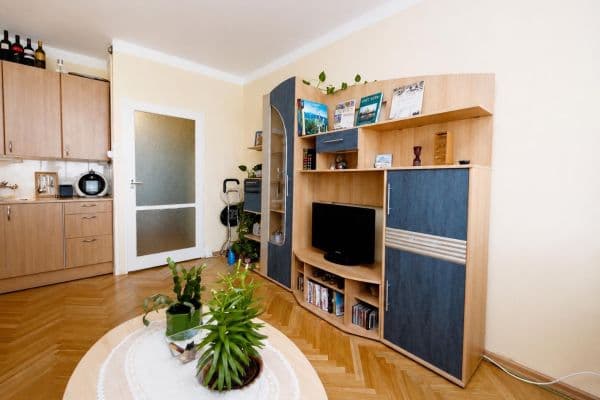 Small studio flat to rent, 24 m², Hostýnská, Praha Small studio flat to rent, 24 m², Hostýnská, Praha