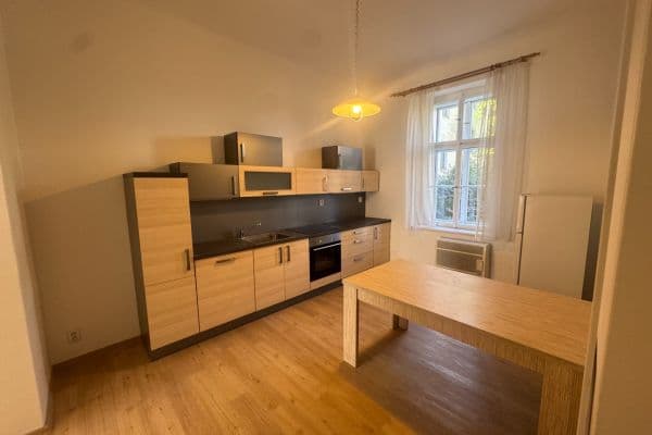 1 bedroom with open-plan kitchen flat to rent, 30 m², Marie Cibulkové, Praha 1 bedroom with open-plan kitchen flat to rent, 30 m², Marie Cibulkové, Praha