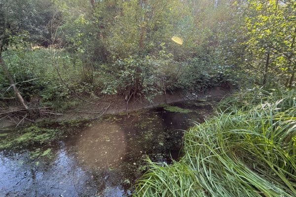 plot for sale, 8,551 m², plot for sale, 8,551 m²,