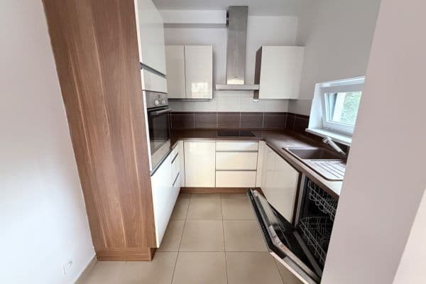 1 bedroom with open-plan kitchen flat for sale, 71 m², Rýnská, Praha 1 bedroom with open-plan kitchen flat for sale, 71 m², Rýnská, Praha