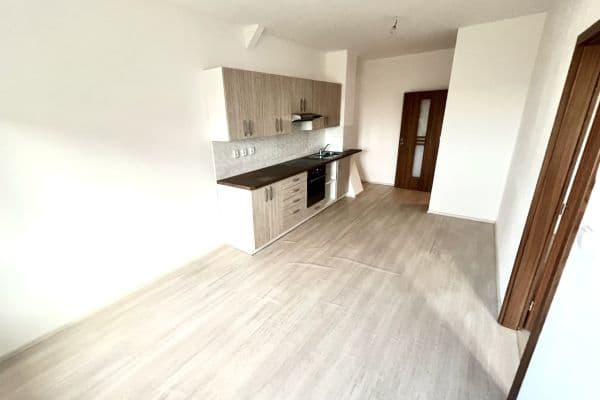 2 bedroom with open-plan kitchen flat to rent, 65 m², Revoluční, Plzeň 2 bedroom with open-plan kitchen flat to rent, 65 m², Revoluční, Plzeň