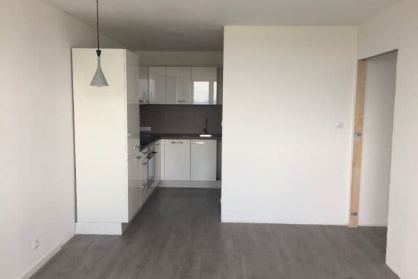 1 bedroom with open-plan kitchen flat for sale, 42 m², Prosecká, Praha 1 bedroom with open-plan kitchen flat for sale, 42 m², Prosecká, Praha