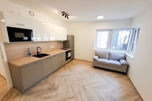 1 bedroom with open-plan kitchen flat to rent, 41 m², Plzeňská, Praha 1 bedroom with open-plan kitchen flat to rent, 41 m², Plzeňská, Praha