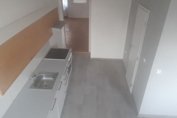 1 bedroom with open-plan kitchen flat to rent, 42 m², Bayerova, Brno 1 bedroom with open-plan kitchen flat to rent, 42 m², Bayerova, Brno