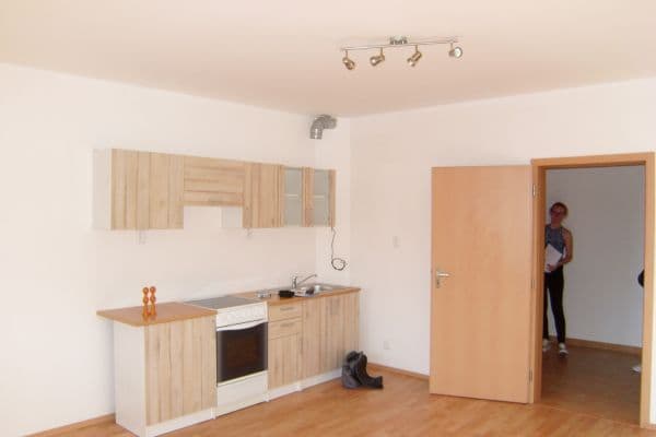 1 bedroom with open-plan kitchen flat for sale, 55 m², Sedláčkova, Brno 1 bedroom with open-plan kitchen flat for sale, 55 m², Sedláčkova, Brno