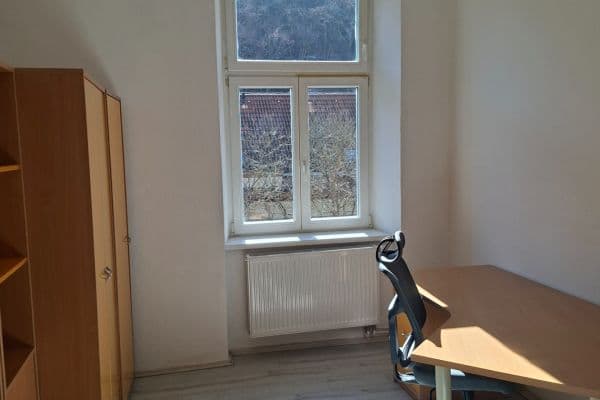 2 bedroom with open-plan kitchen flat to rent, 20 m², Pernerova, Praha 2 bedroom with open-plan kitchen flat to rent, 20 m², Pernerova, Praha