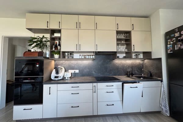 1 bedroom with open-plan kitchen flat to rent, 64 m², Františka Kováříka, Plzeň 1 bedroom with open-plan kitchen flat to rent, 64 m², Františka Kováříka, Plzeň