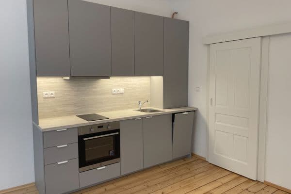 1 bedroom with open-plan kitchen flat to rent, 55 m², U Zeměpisného ústavu, Praha 1 bedroom with open-plan kitchen flat to rent, 55 m², U Zeměpisného ústavu, Praha