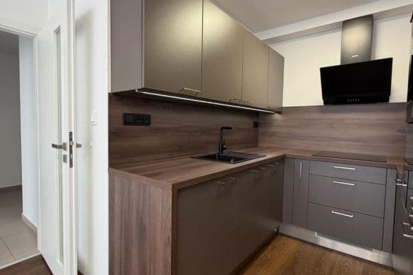 1 bedroom with open-plan kitchen flat to rent, 45 m², Mádrova, Praha 1 bedroom with open-plan kitchen flat to rent, 45 m², Mádrova, Praha