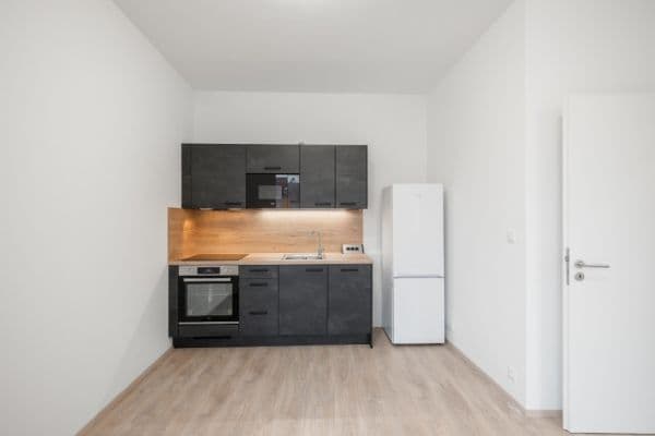 Studio flat to rent, 29 m², Zámecká, Lovosice Studio flat to rent, 29 m², Zámecká, Lovosice