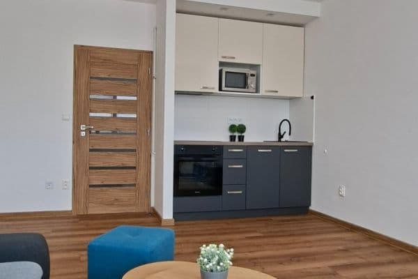 Studio flat to rent, 30 m², Tymákov Studio flat to rent, 30 m², Tymákov