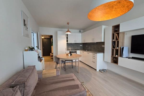 1 bedroom with open-plan kitchen flat to rent, 51 m², Ondrákové, Praha 1 bedroom with open-plan kitchen flat to rent, 51 m², Ondrákové, Praha