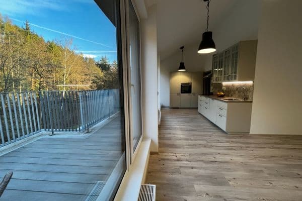 1 bedroom with open-plan kitchen flat to rent, 55 m², Horní Palava, Blansko 1 bedroom with open-plan kitchen flat to rent, 55 m², Horní Palava, Blansko