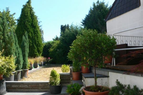 1 bedroom with open-plan kitchen flat to rent, 65 m², Mönchengladbach 1 bedroom with open-plan kitchen flat to rent, 65 m², Mönchengladbach