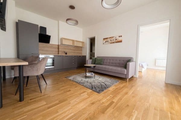 1 bedroom with open-plan kitchen flat for sale, 47 m², Vítkova, Praha 1 bedroom with open-plan kitchen flat for sale, 47 m², Vítkova, Praha
