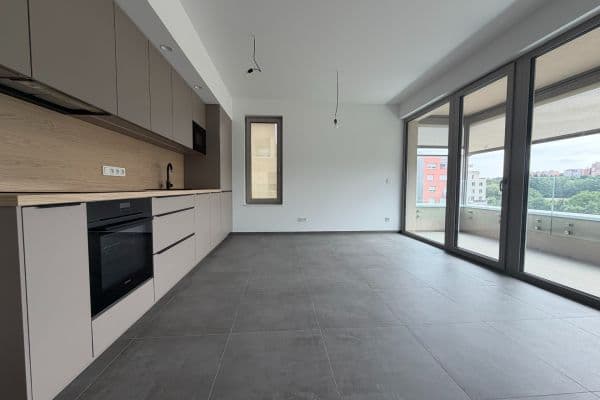 1 bedroom with open-plan kitchen flat to rent, 47 m², Praha 1 bedroom with open-plan kitchen flat to rent, 47 m², Praha