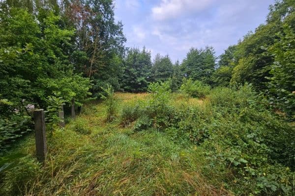 Plot for sale Plot for sale