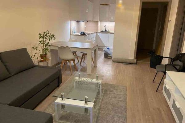1 bedroom with open-plan kitchen flat to rent, 64 m², K Metru, Prague 1 bedroom with open-plan kitchen flat to rent, 64 m², K Metru, Prague
